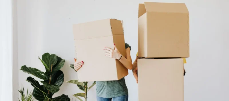 Two people stand side by side holding large cardboard boxes that cover their heads. A green plant is placed against the white wall on the left.