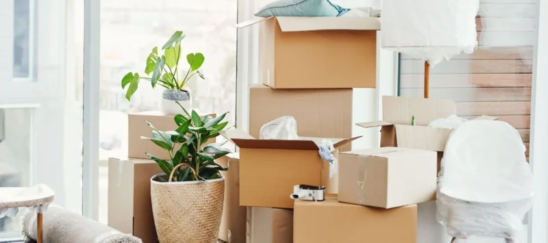 Several cardboard boxes, some open, are stacked in a bright room with potted plants, bubble wrap, and wrapped furniture, suggesting moving or unpacking.