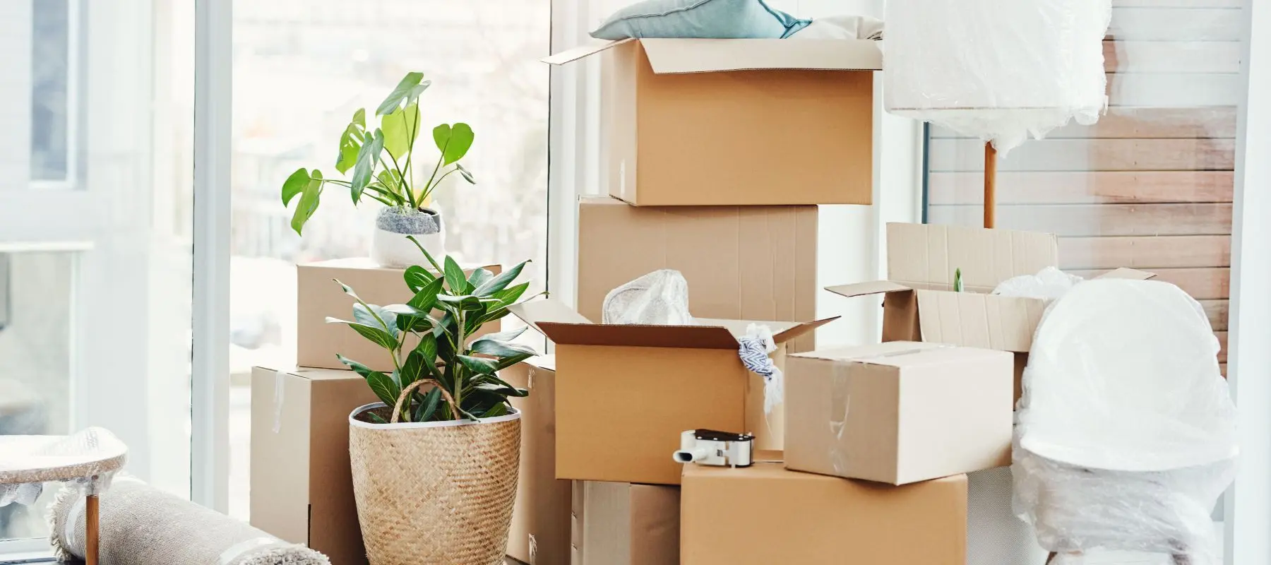 Several cardboard boxes, some open, are stacked in a bright room with potted plants, bubble wrap, and wrapped furniture, suggesting moving or unpacking.