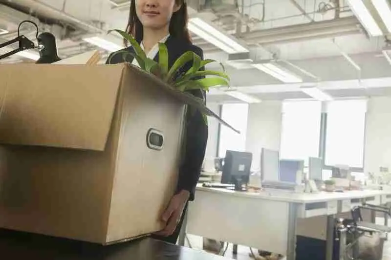 A person holding a cardboard box with a plant inside, standing in a modern office with desks and computers in the background.