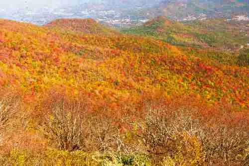 A vast landscape of hills covered with colorful autumn foliage in shades of red, orange, and yellow, with bare trees in the foreground and a hazy town visible in the distant background.