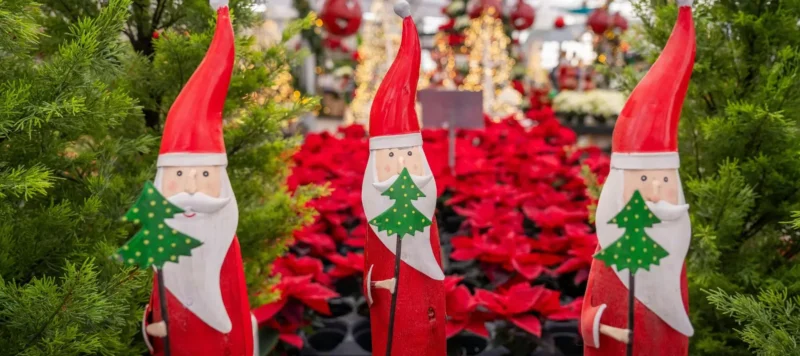 Three wooden Santa Claus decorations with red hats and white beards stand among green trees and red poinsettias, with Christmas lights and decorations blurred in the background.