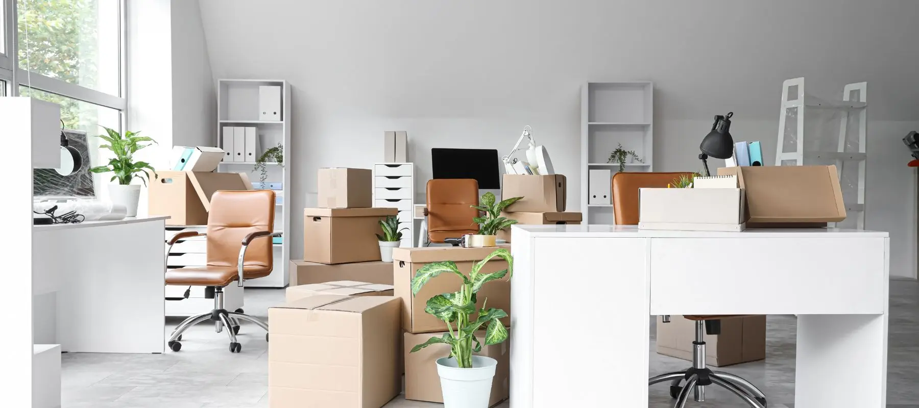 Modern office with brown chairs, white desks, and shelves, filled with packed cardboard boxes and potted plants, suggesting the space is being moved into or out of. Sunlight comes in through large windows on the left.