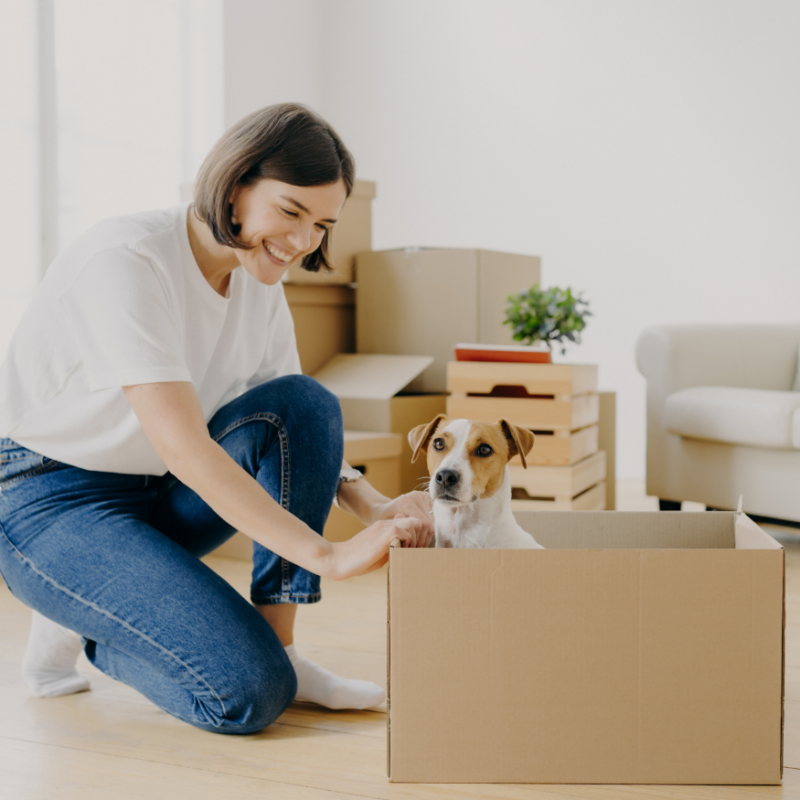 A smiling woman kneels beside a cardboard box where a small dog sits. Moving boxes and a plant are in the background, suggesting a move.