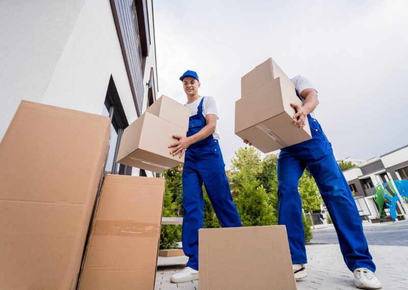 Two movers in blue uniforms carry cardboard boxes outside a building, stacking them with more boxes on the ground nearby. The background shows greenery and parts of other buildings.